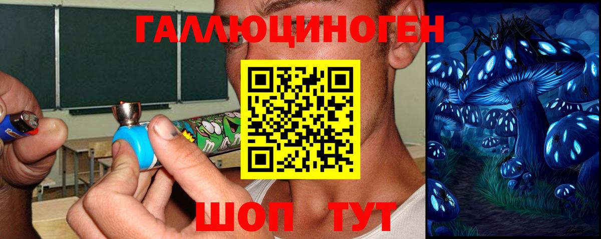 Галлюциногенные грибы MAGIC MUSHROOMS  Вход с VPN  магазин  наркотиков  Канаш 