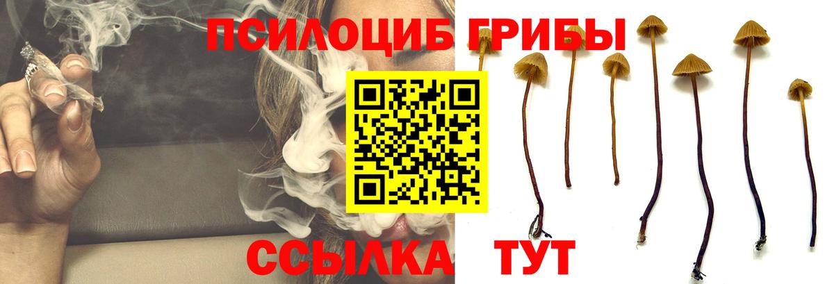 Псилоцибиновые грибы мухоморы Канаш